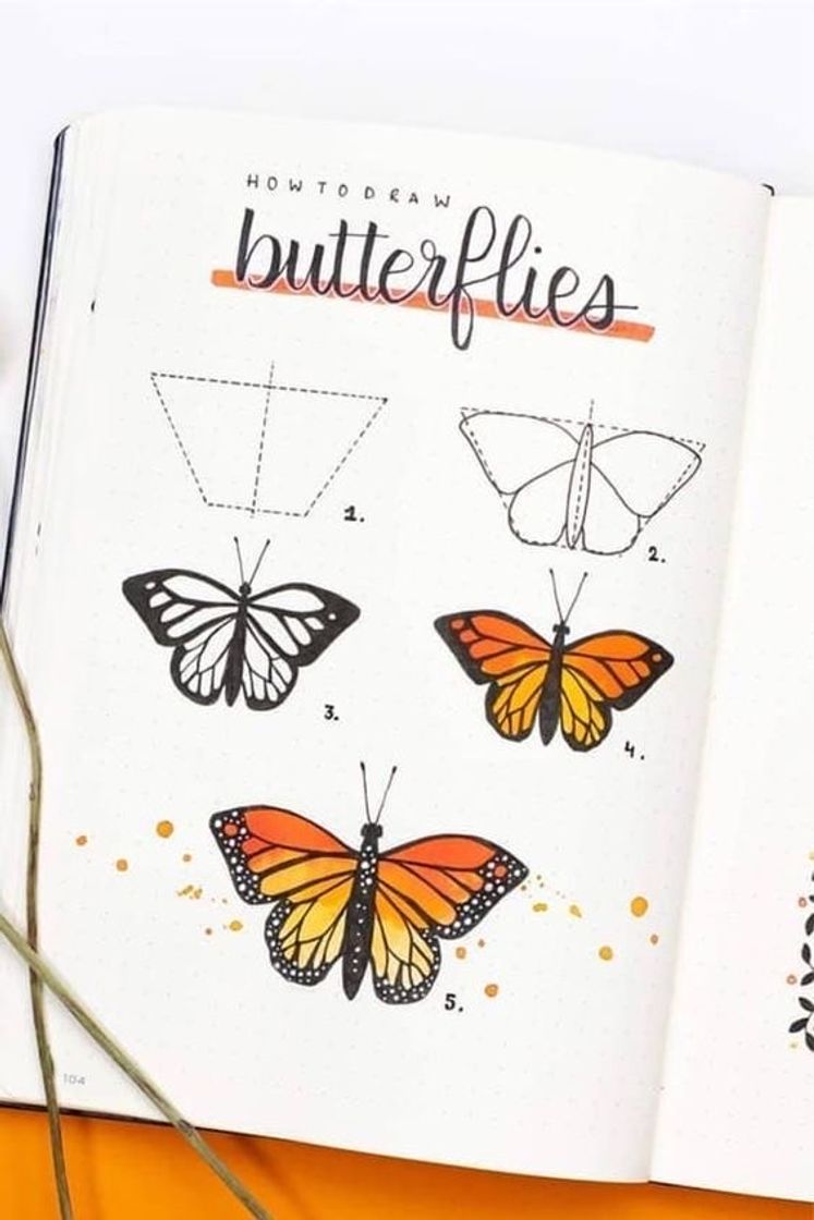 Social butterfly 🦋