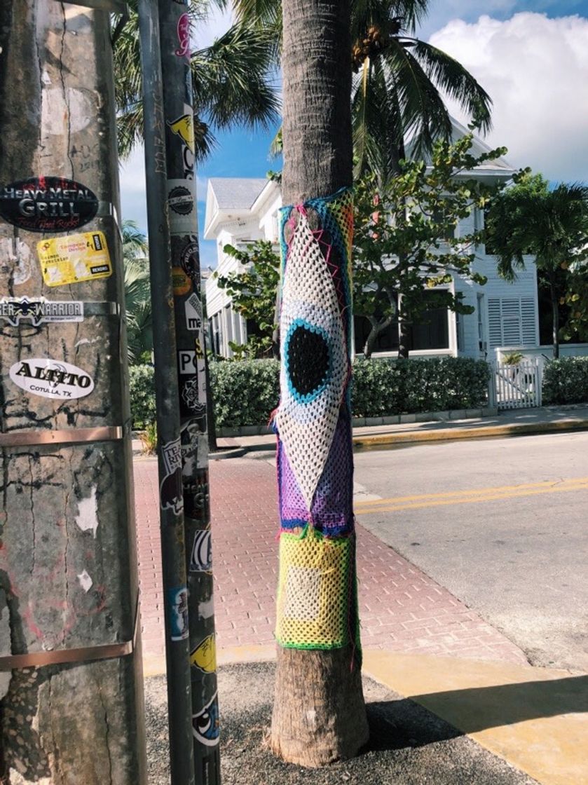 Social key west