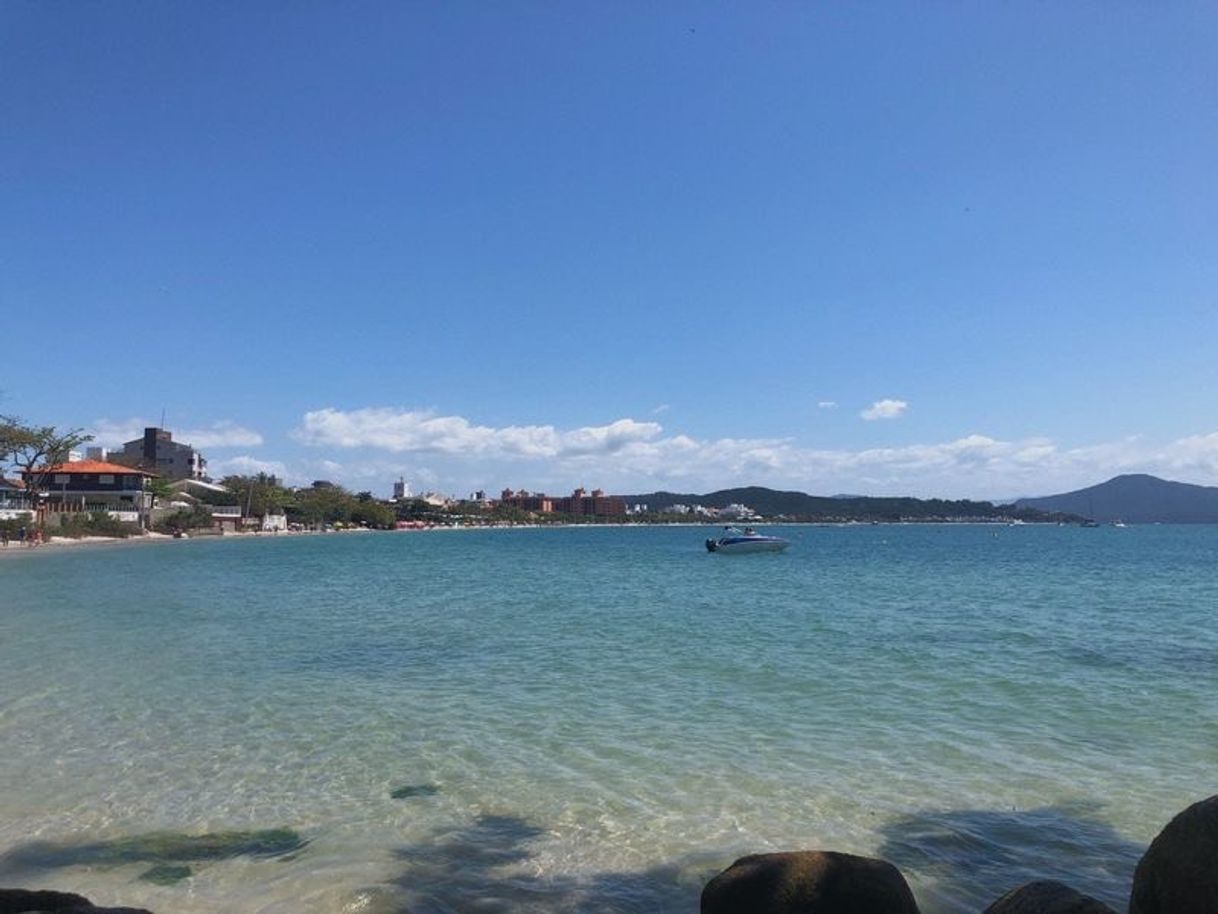Social floripa 