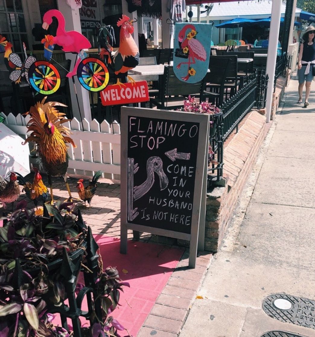 Social flamingoo 