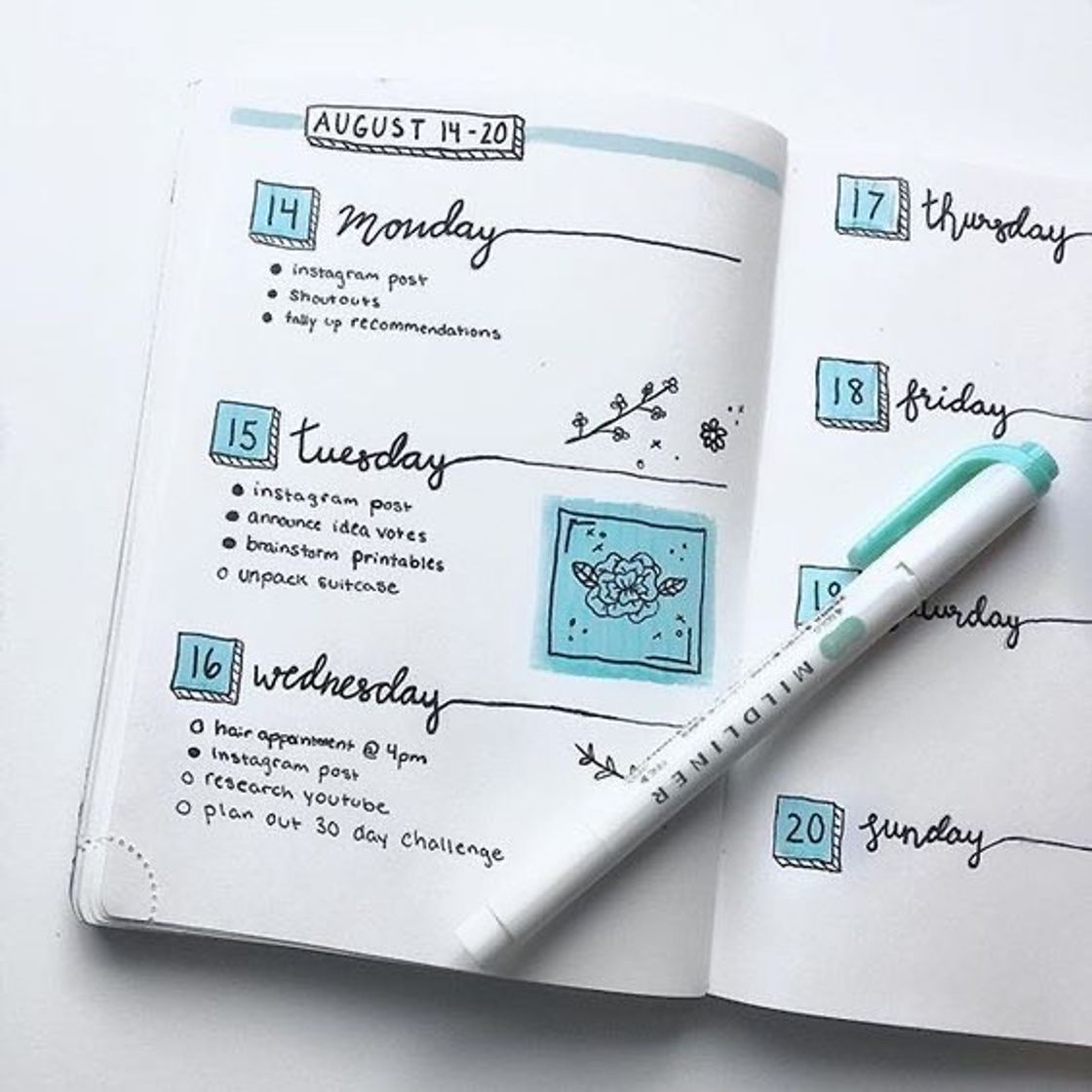 Social organização semanal 