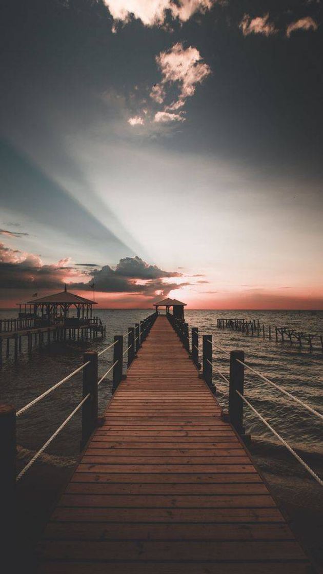 Social Tumblr