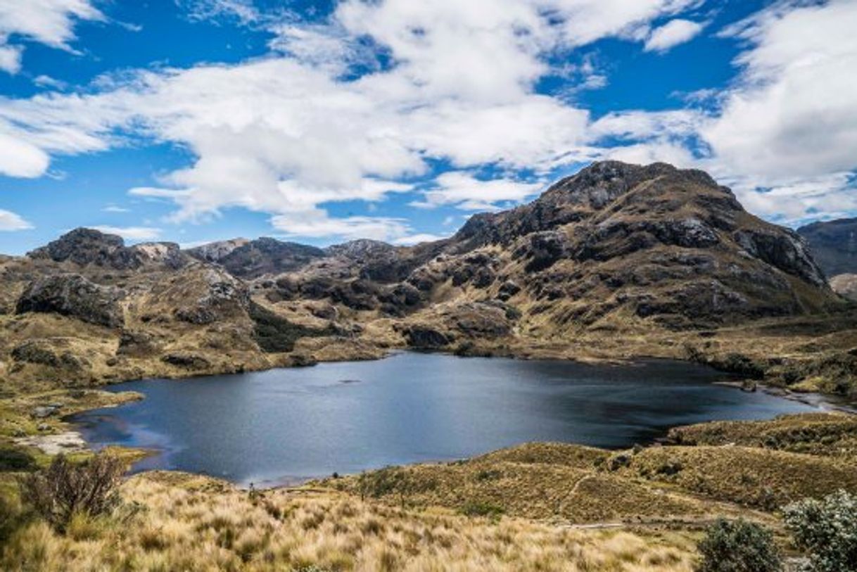 Lugar Parque Nacional Cajas