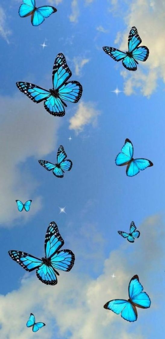 Fashion wallpaper azul 🦋