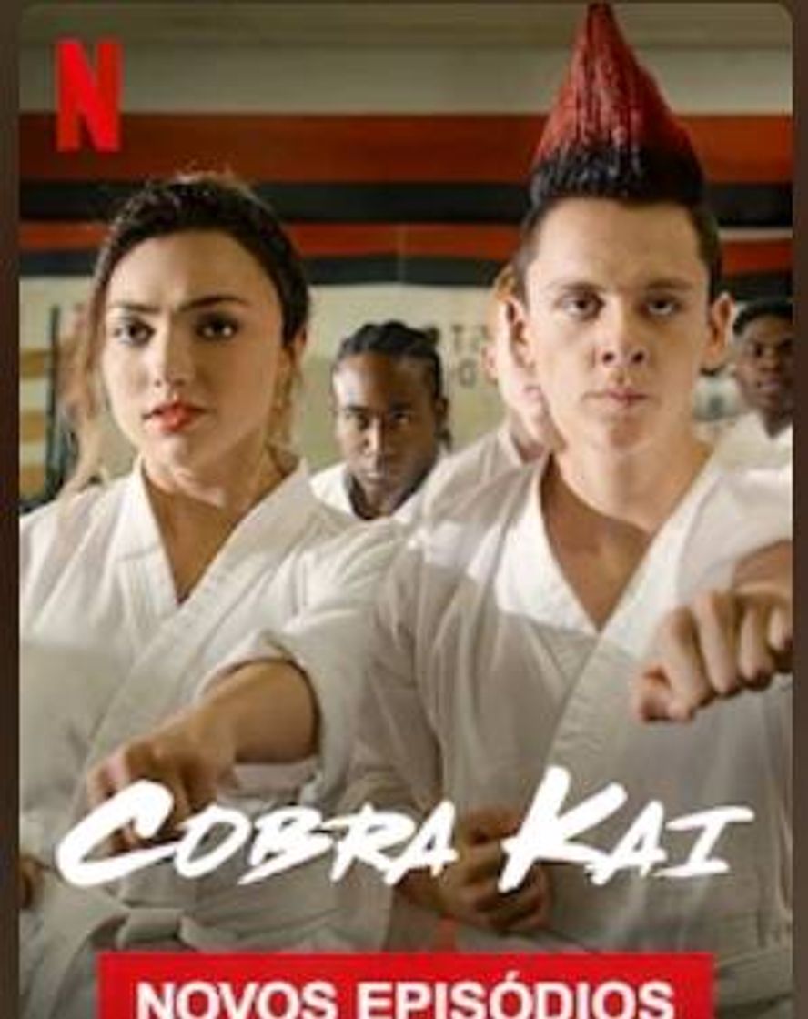 Serie Cobra Kai