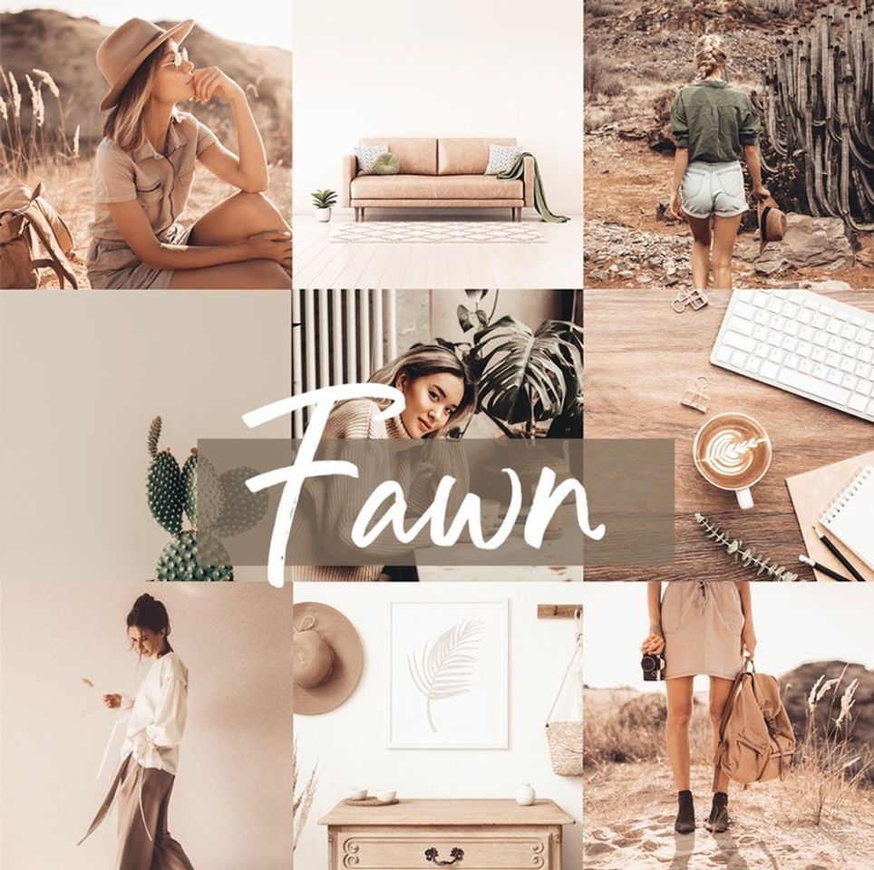 Productos FAWN PRESET 