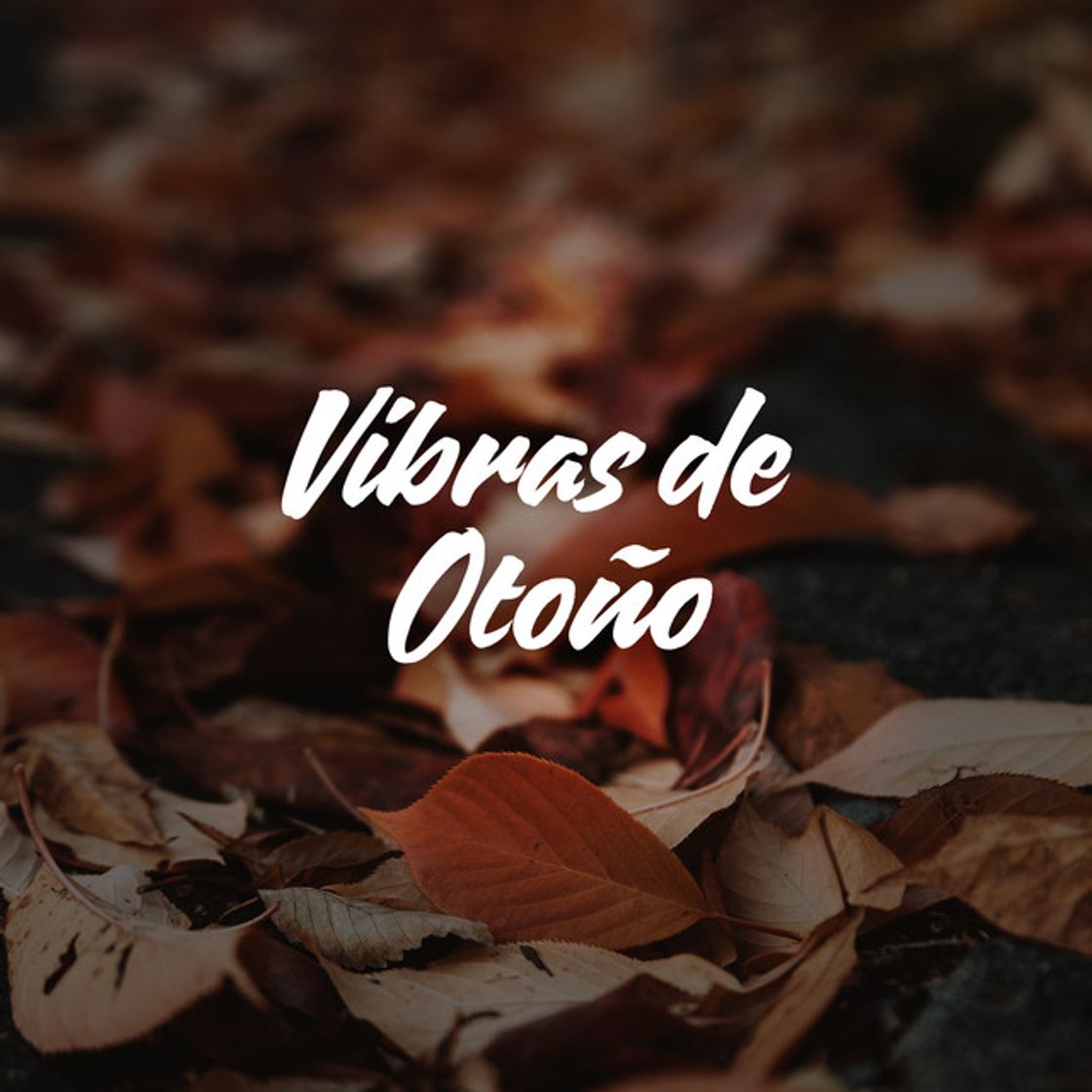 Canción Labios Rotos - Live