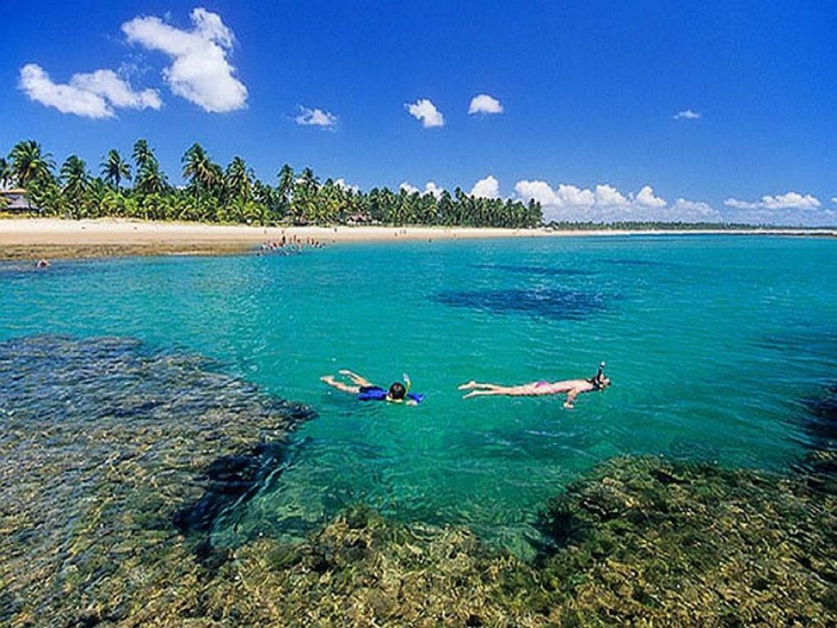 Lugar Praia do Forte