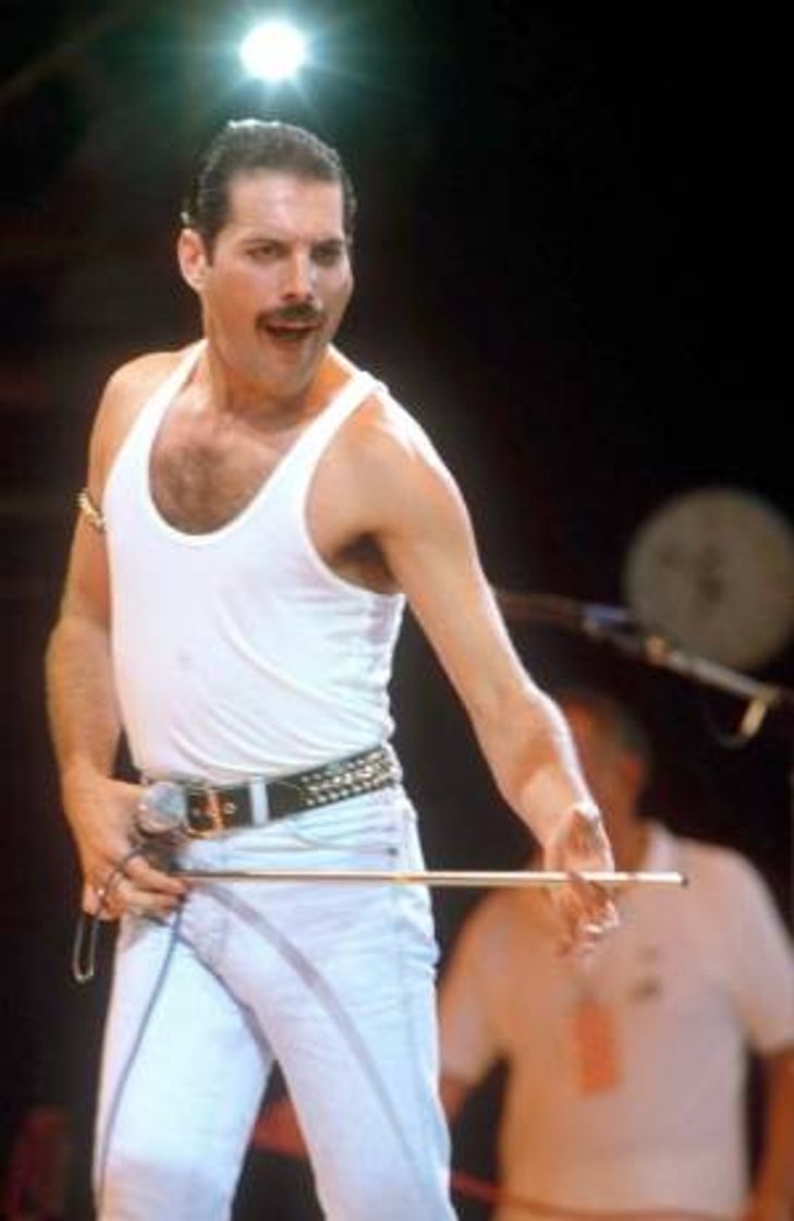 Fashion Freddie Mercury