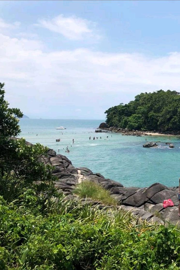 Social Praia Branca - Guarujá - SP - Brasil 