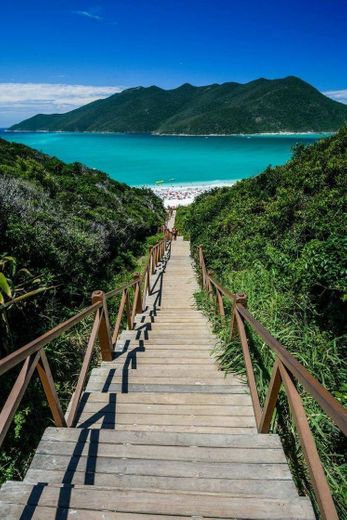 Visão do paraíso 🏖️