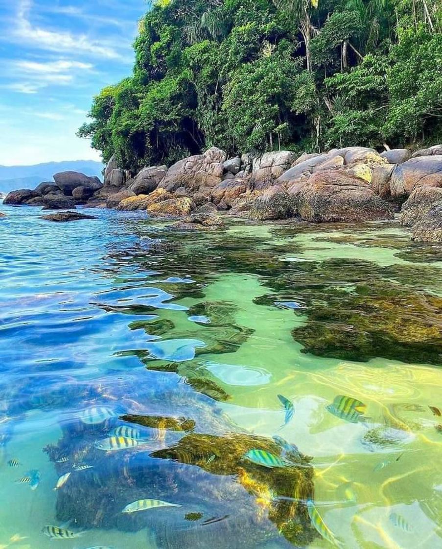 Lugar Ubatuba