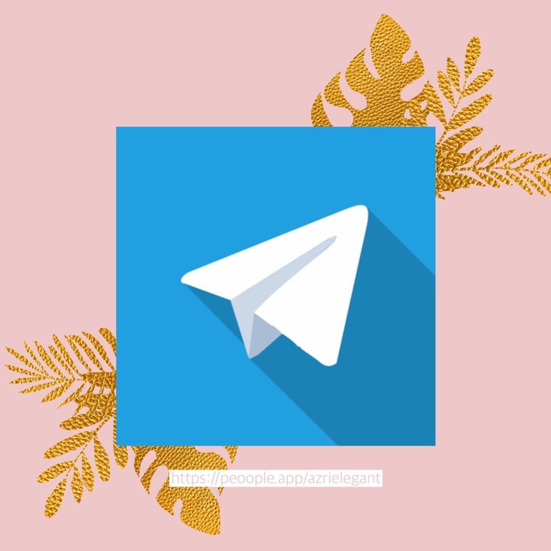 App ‎Telegram Messenger 