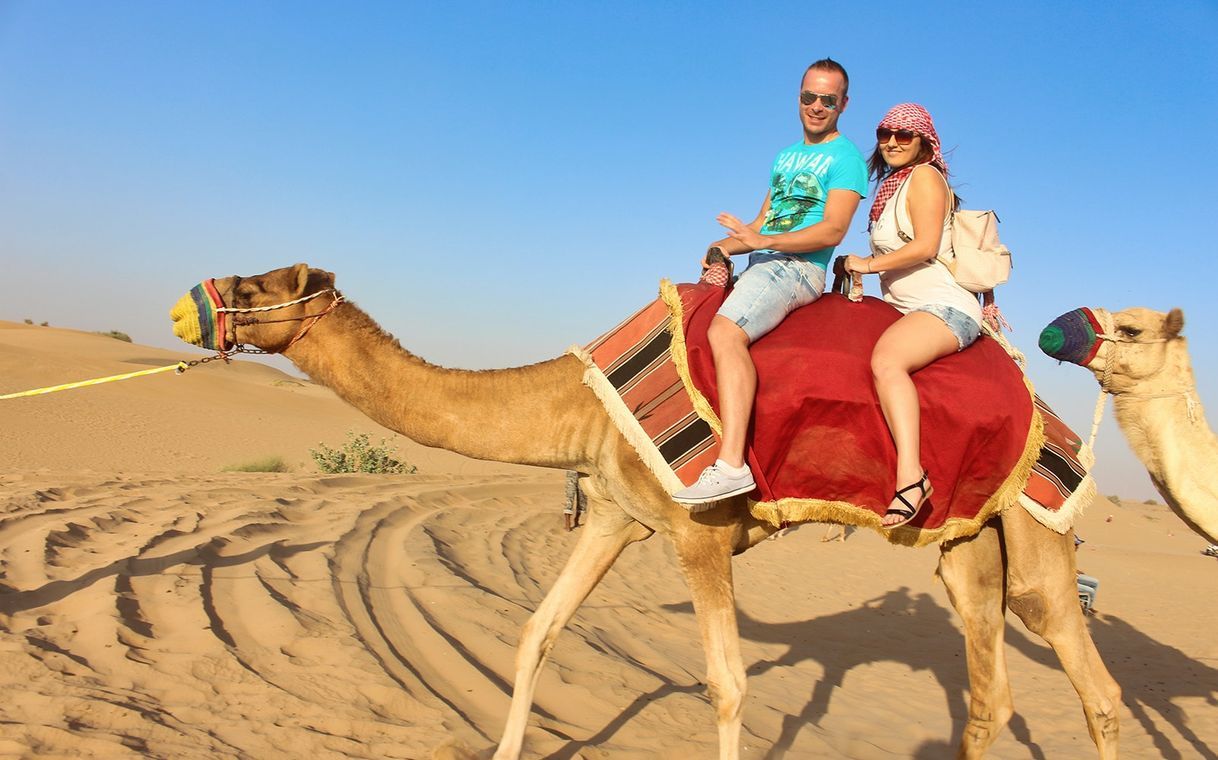 Place Dubai: Dunas Vermelhas, Camelo e Churrasco no Acampamento