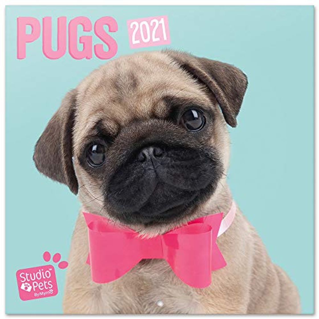 Product ERIK - Calendario de pared 2021 Studio Pets Pugs