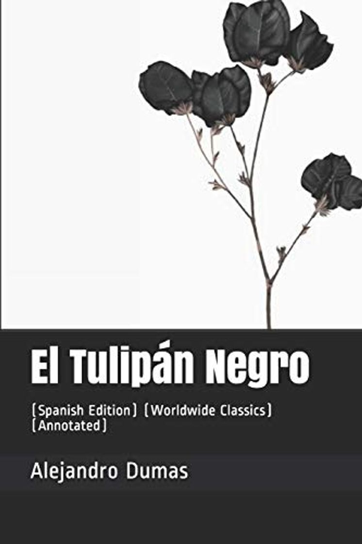 Book El Tulipán Negro: