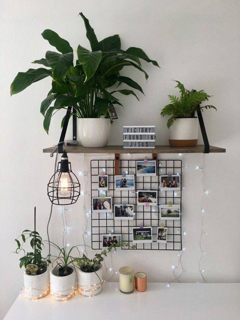 Social Linda decoração 