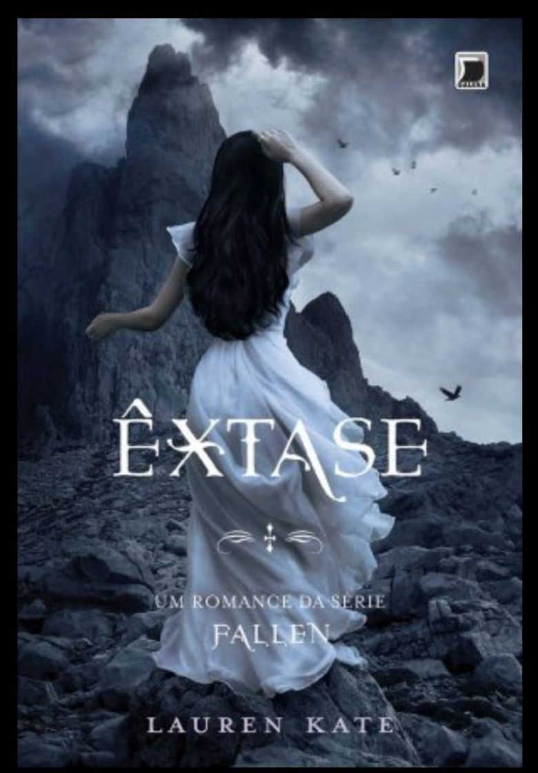 Social Extase