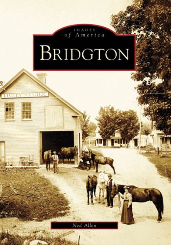 Libro Bridgton