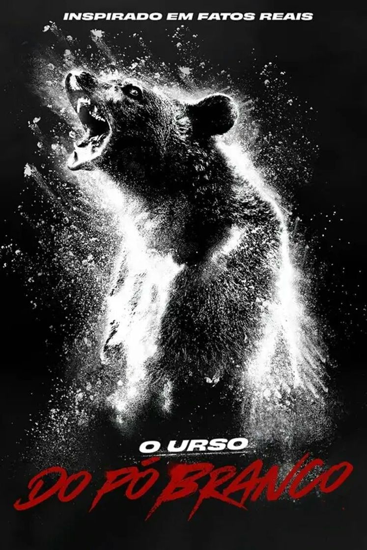 Movies O urso do pó Branco 