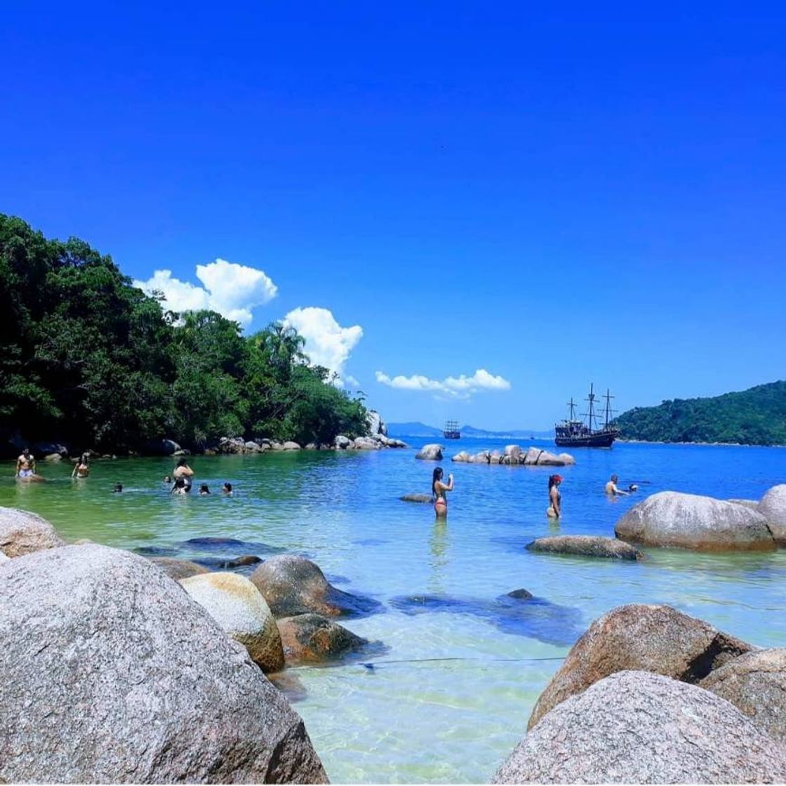 Lugar Baia Dos Golfinhos