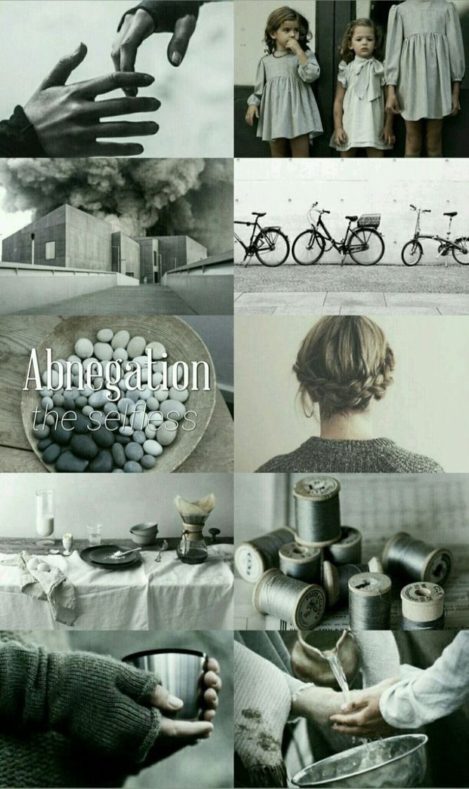 Abnegation DIVERGENT 
