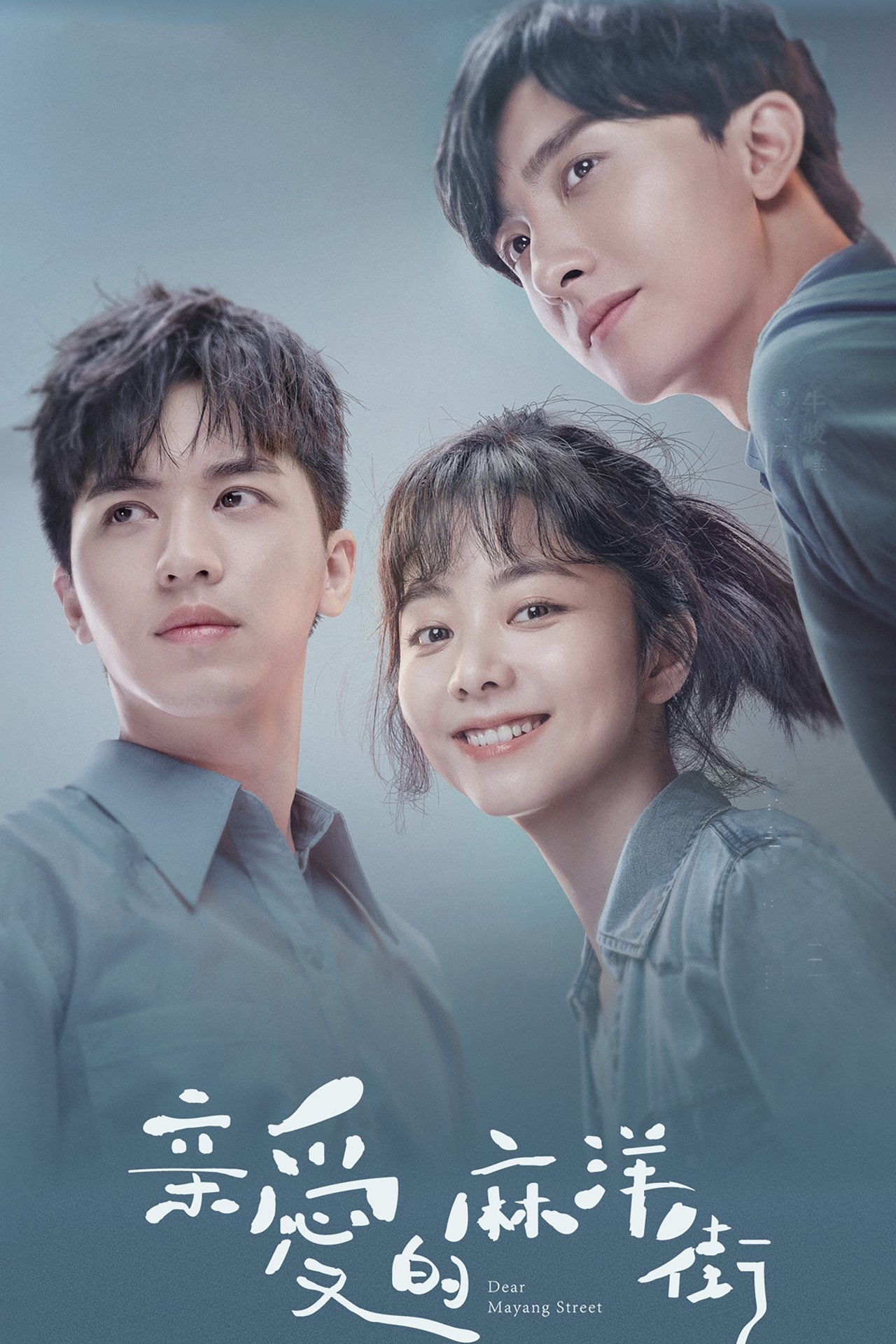 Serie 亲爱的麻洋街