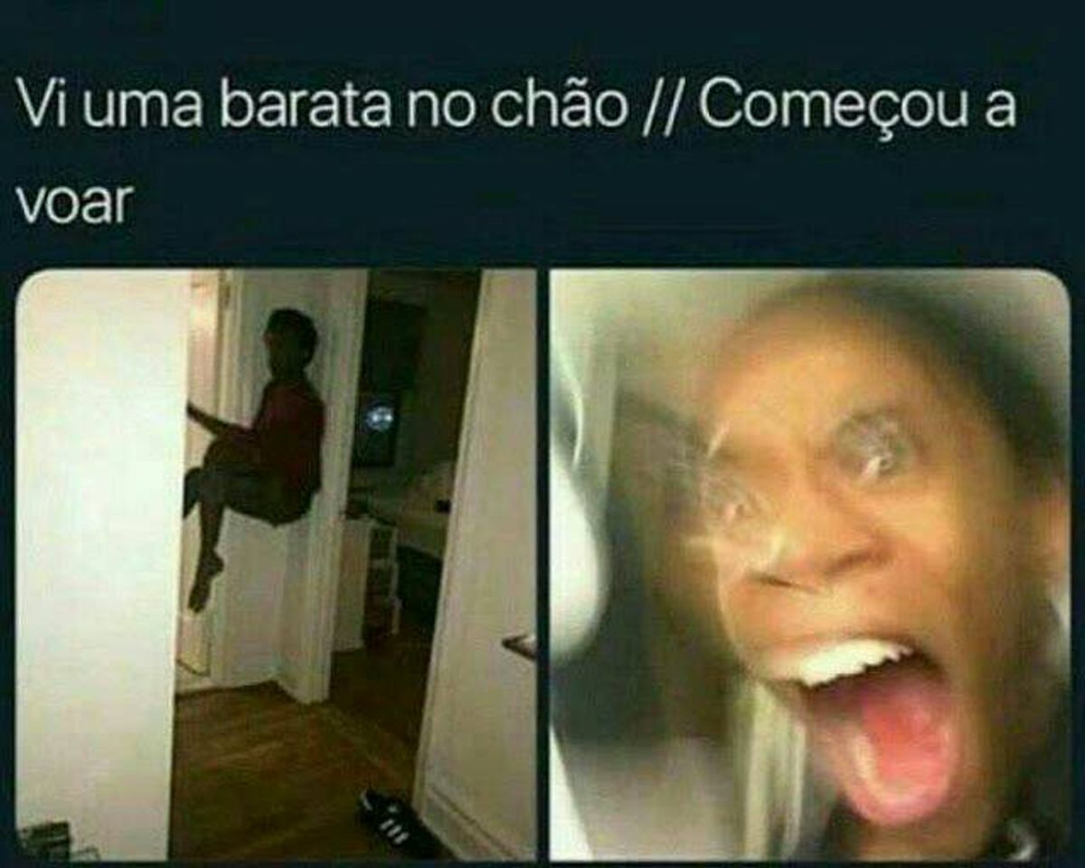 Moda Memes engraçado 