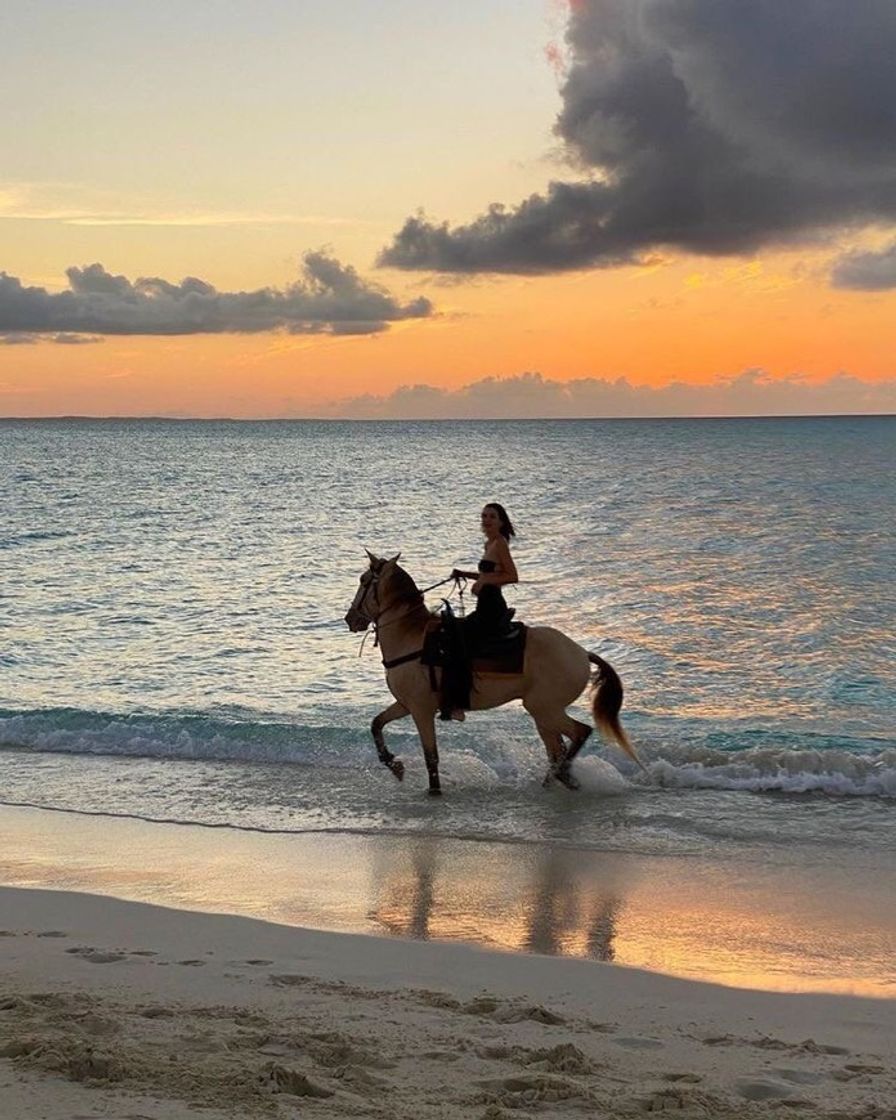 Moda A perfeição 🌊🐴