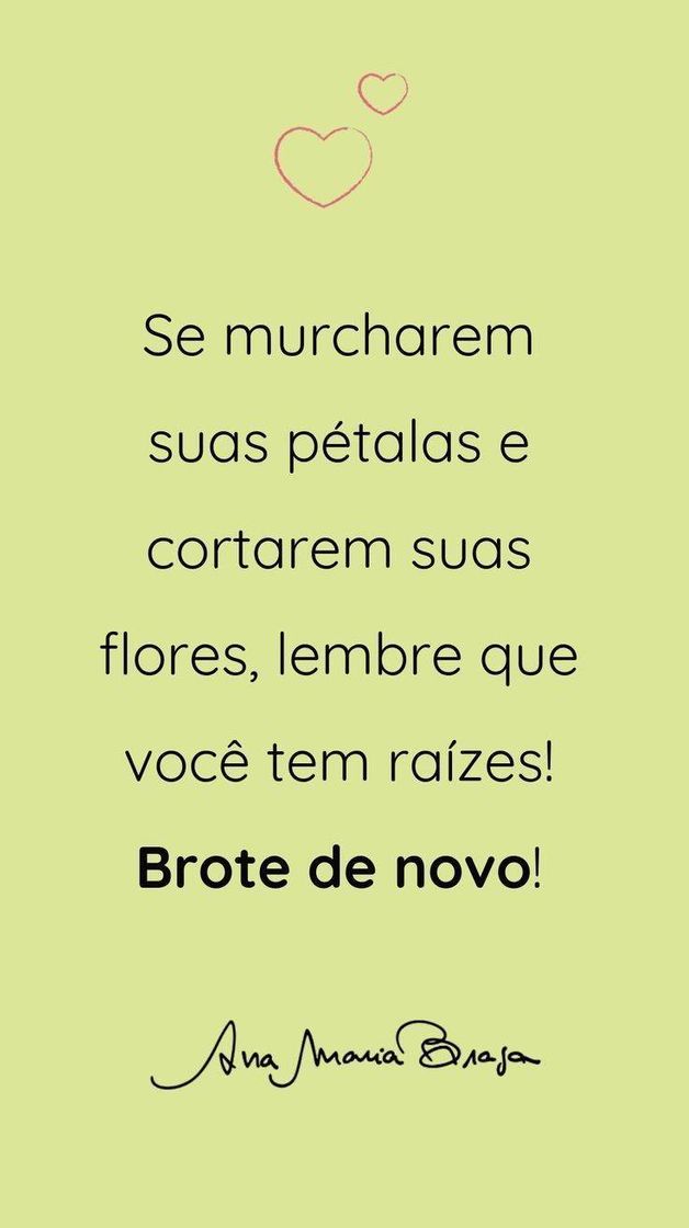 Fashion Brote de novo!