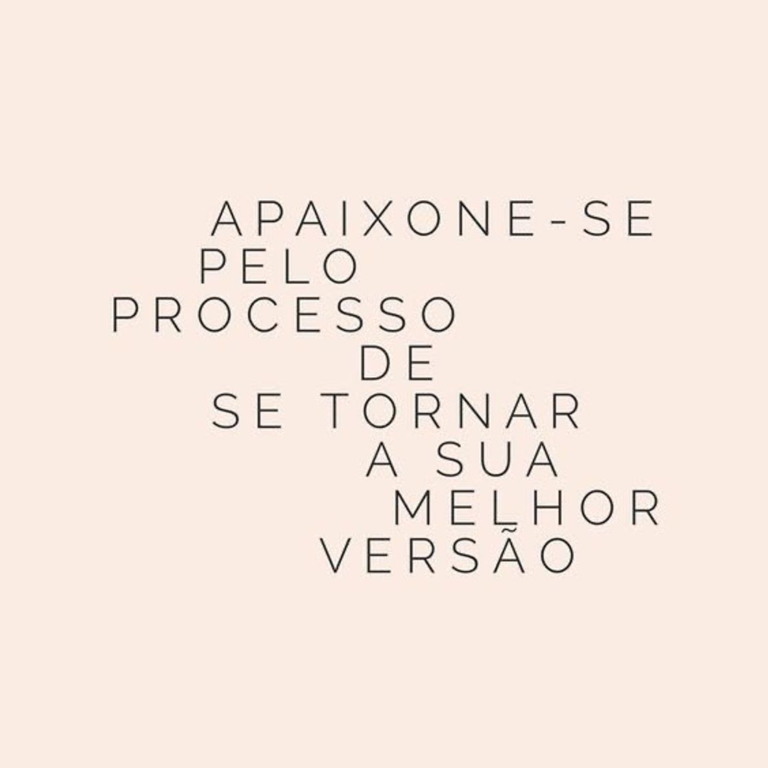 Fashion frases