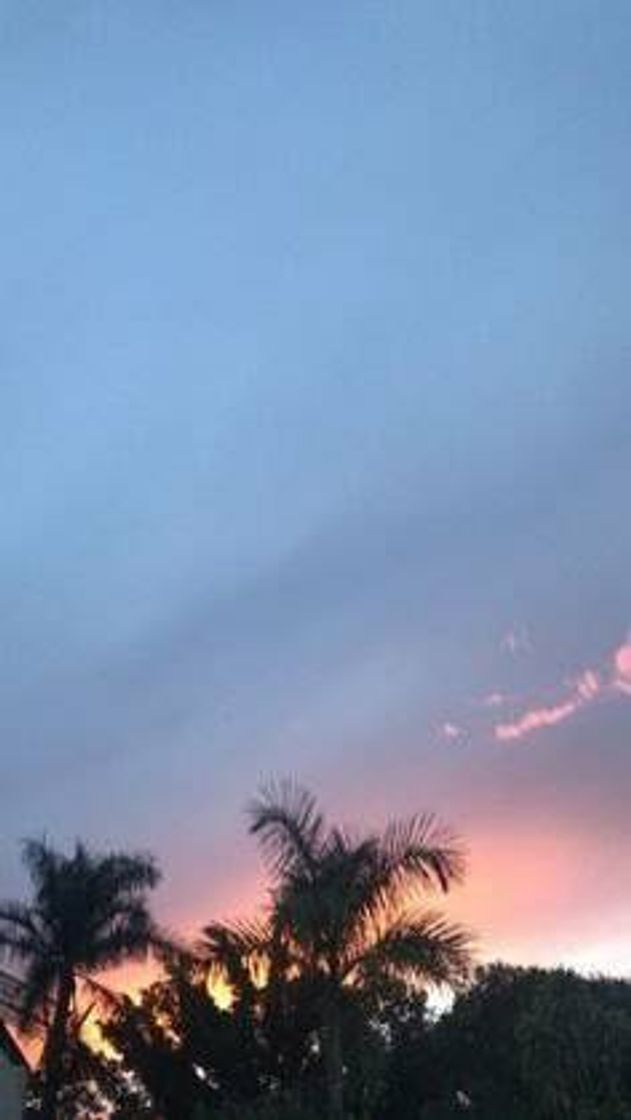 Social Paisagem 