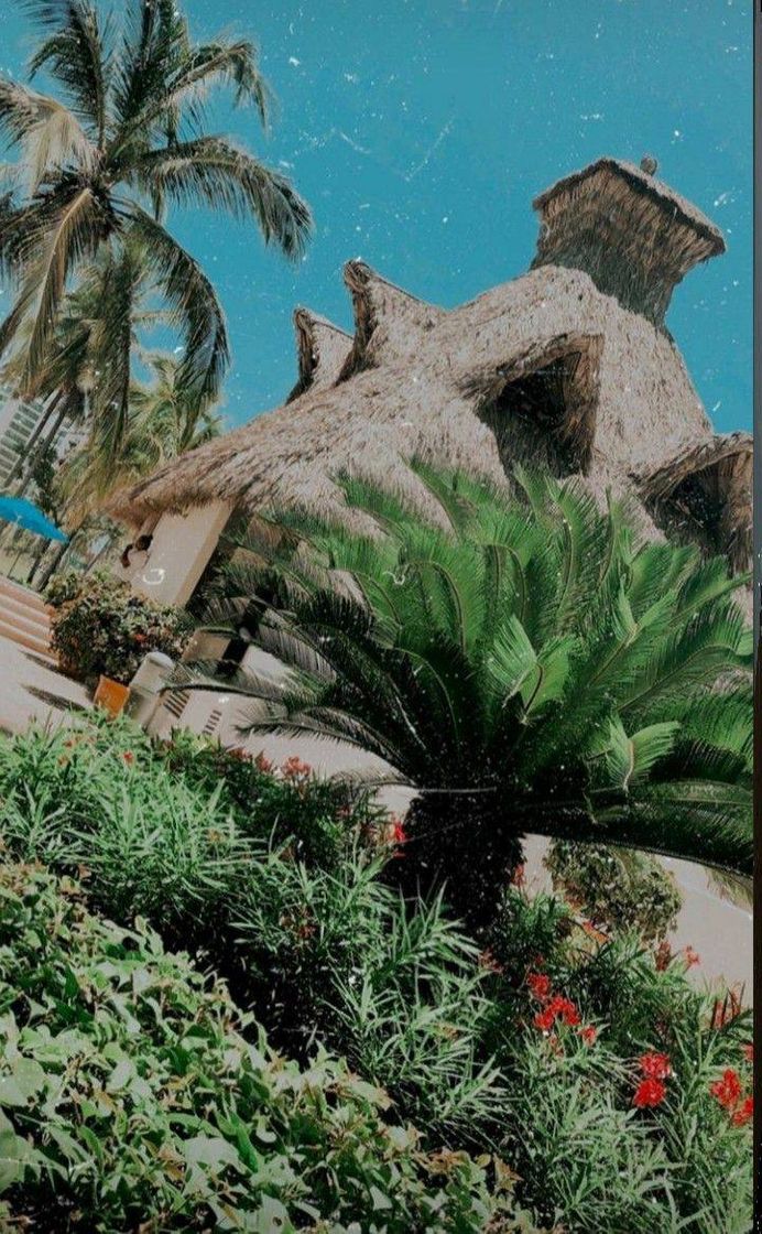 Social Paisagem 