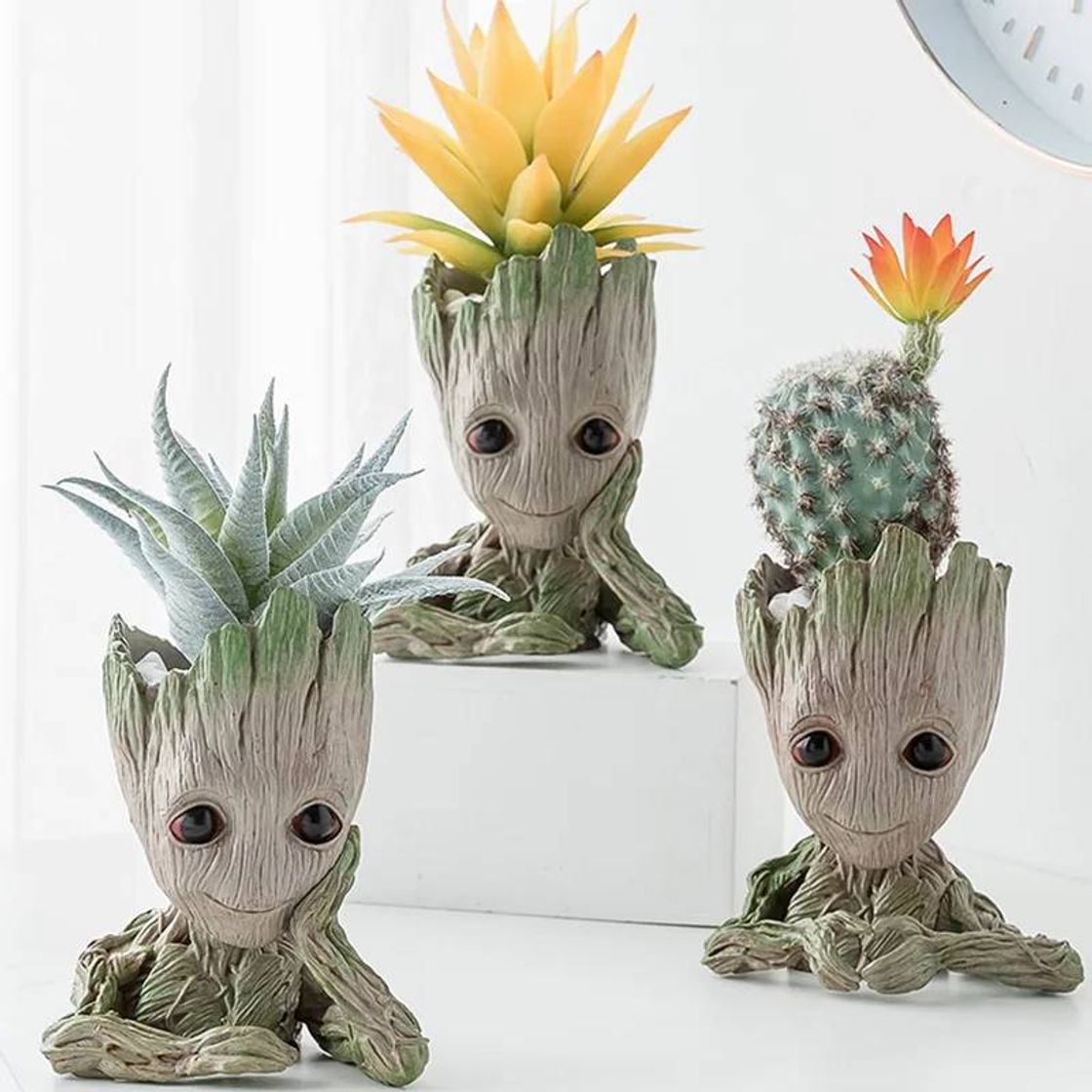 Social Maceta de Plantas