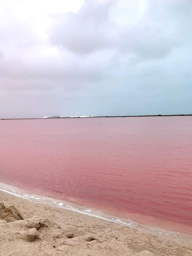 El Lago Rosa en Las Coloradas, Yucatán