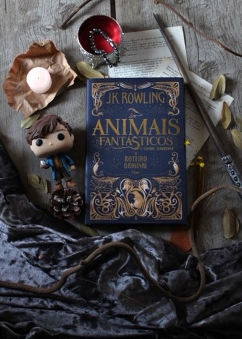 Book Animales fantasticos y donde encontrarlos