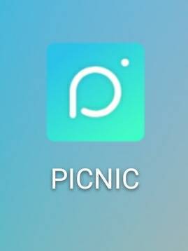 Social Picnic