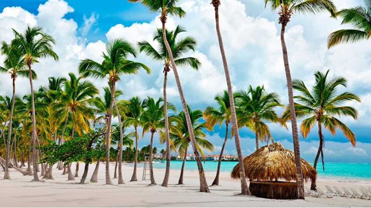 Moda Punta Cana - REPÚBLICA DOMINICANA