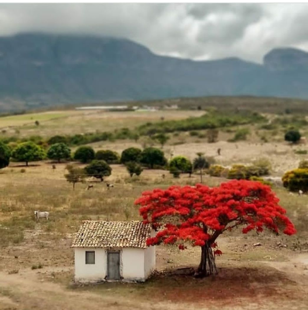 Lugar Guiné