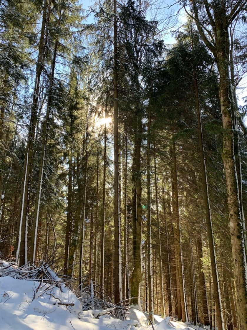 Places Tegernsee