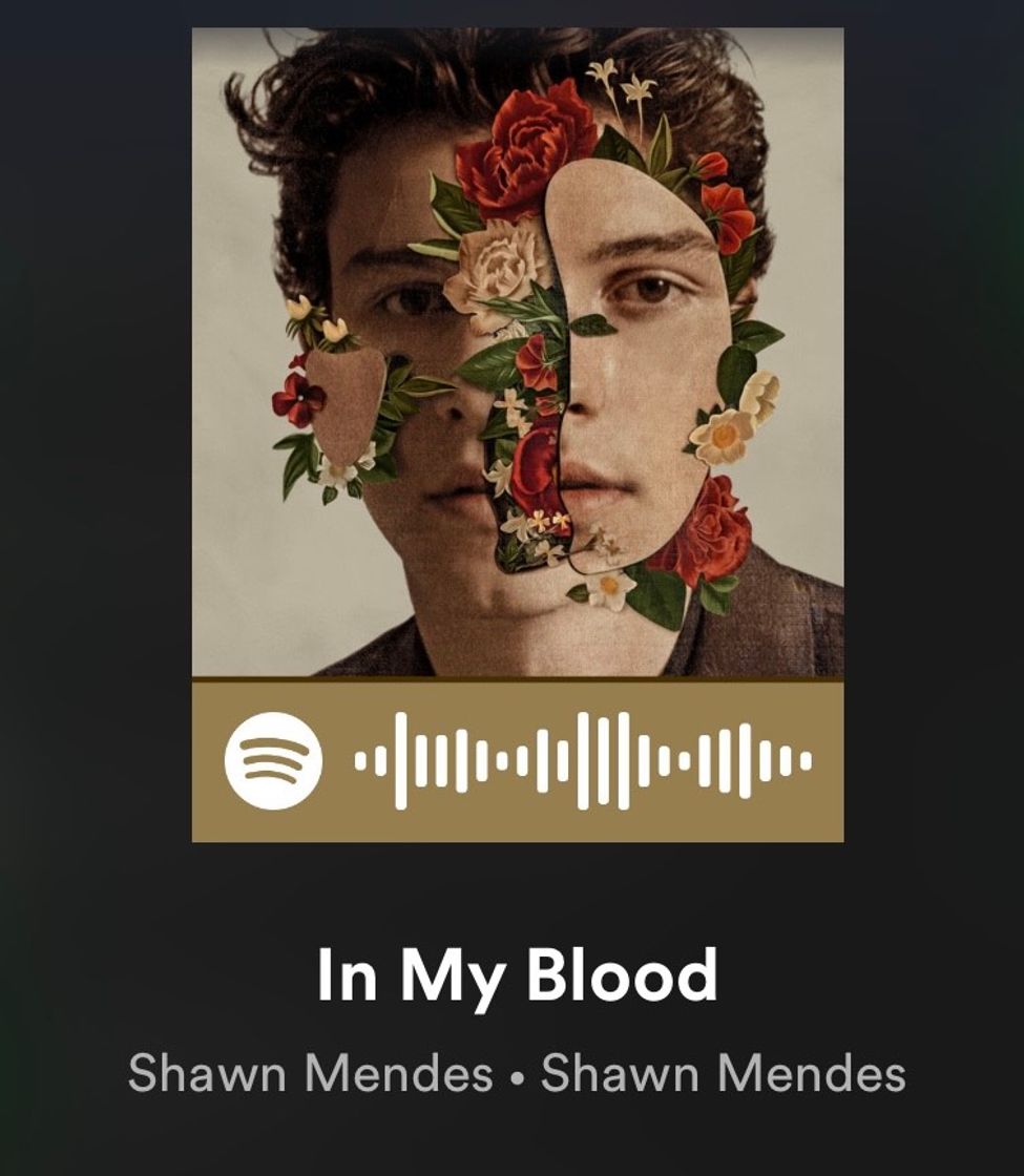 Canción In My Blood - Shawn Mendes