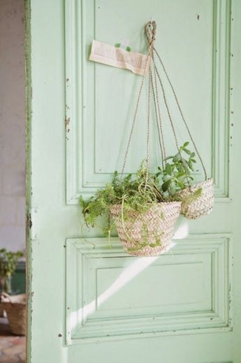 Green decoration 