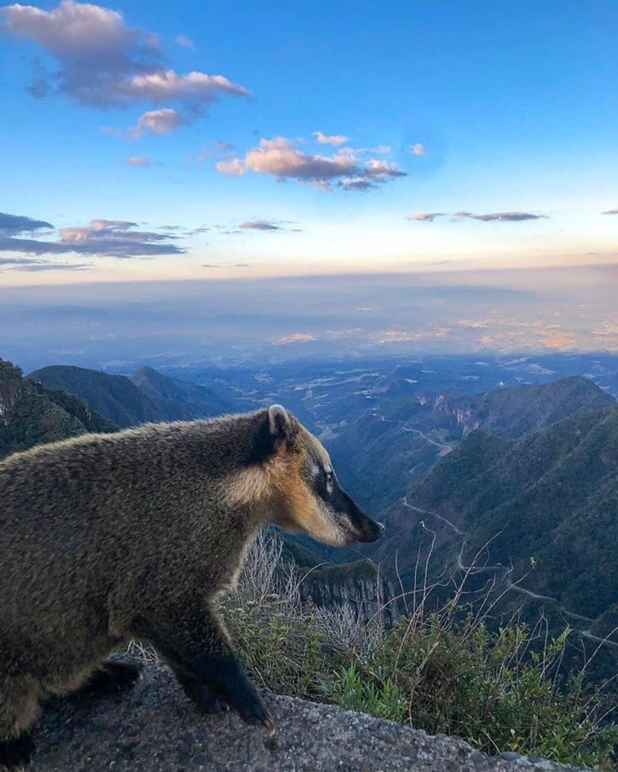 Place Serra do Rio do Rastro