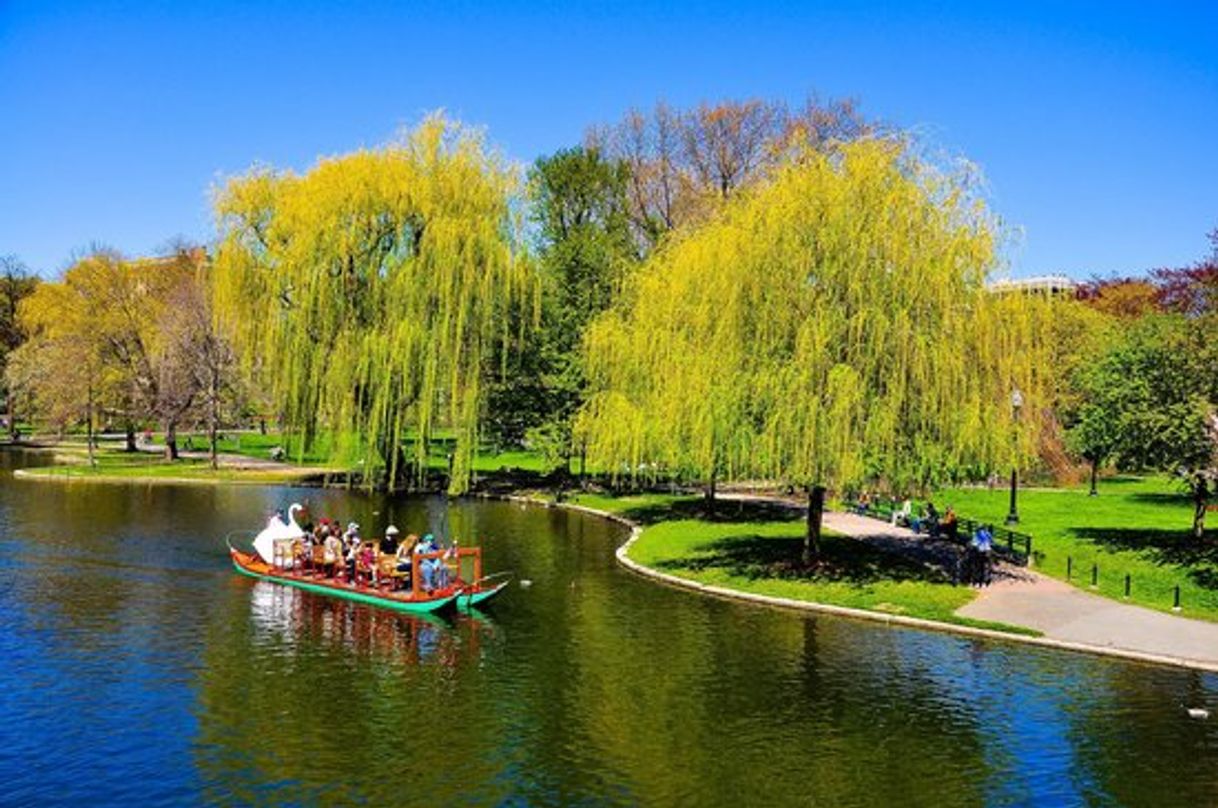 Place Boston Public Garden