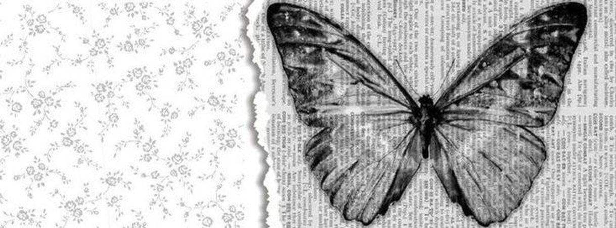 Social Header aesthetic