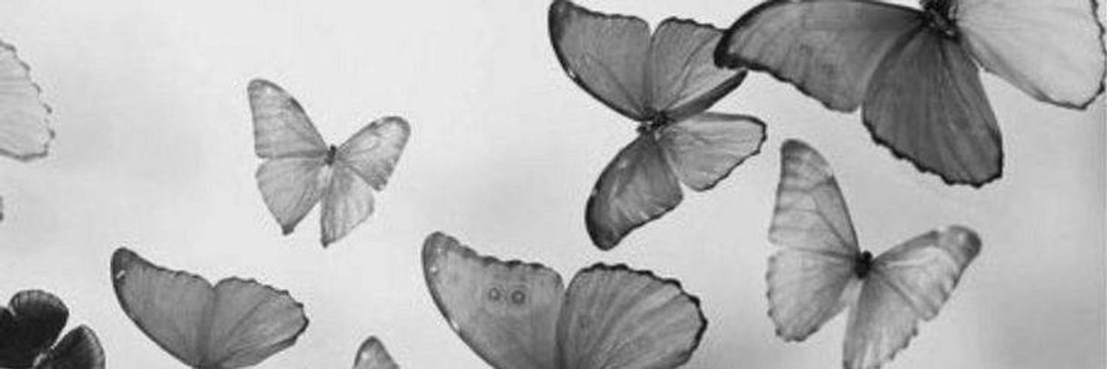 Social Header aesthetic