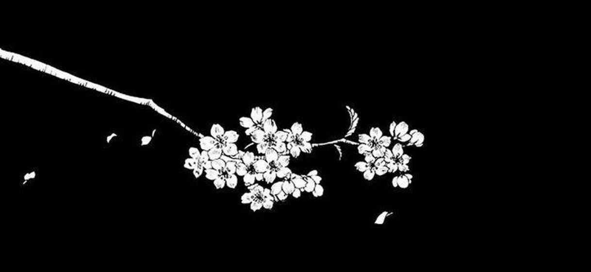 Social Header aesthetic