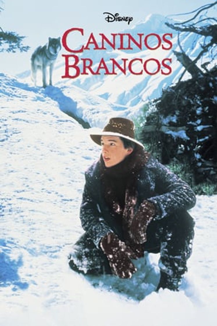 Movie Colmillo blanco