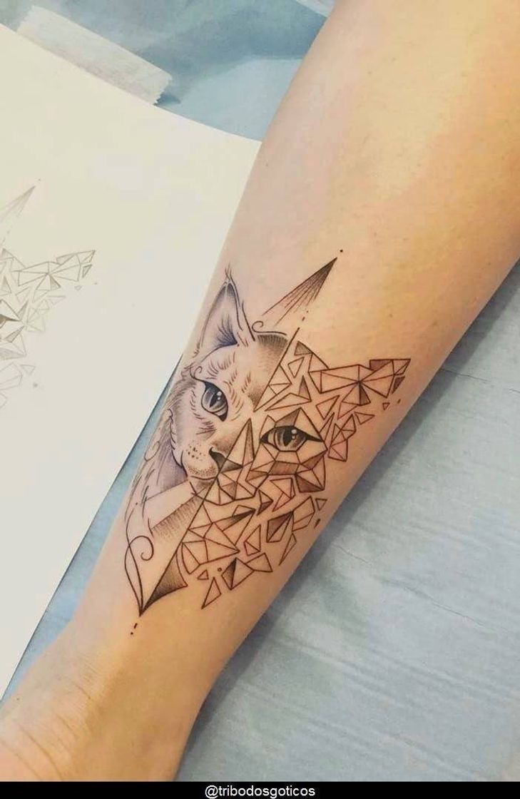 Moda Tatuagem de gatinho 