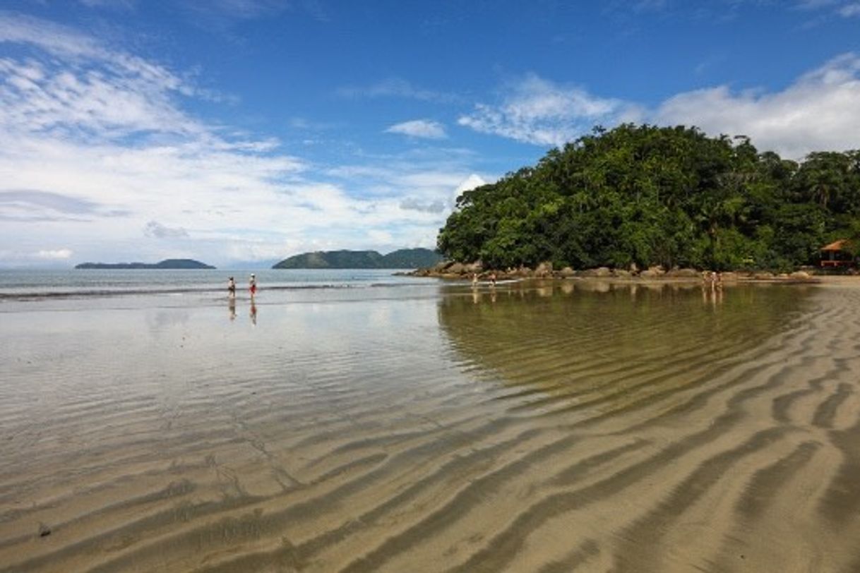 Lugar Praia do Lázaro 